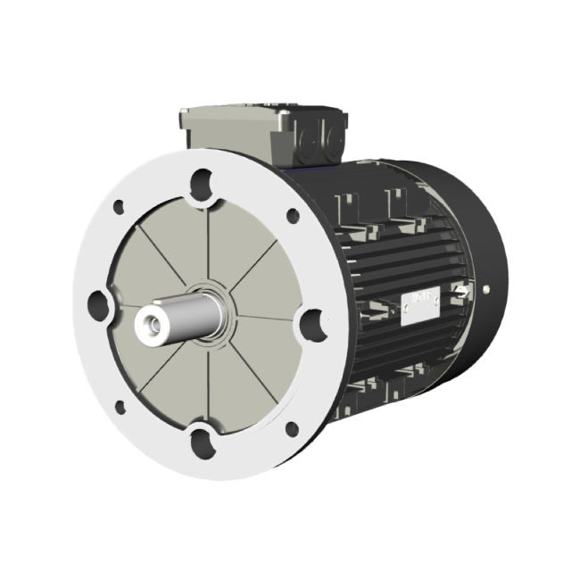 AC Motors - B5 Flanges