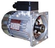 Motor 2,2 kw 2P 200V 50Hz HYF