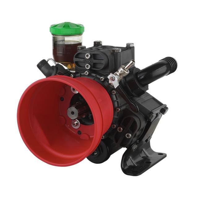 AR115 bp SP Cataforesi