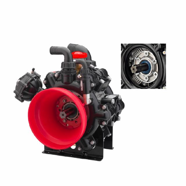 AR 280 bp C/C Cataforese Nature