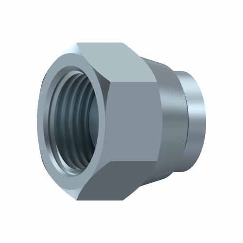 Swivel cap BSP Female