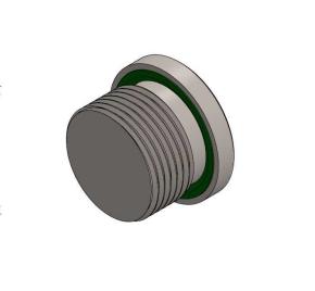 Blanking plugs for ports with captive seal  BSP - AISI 316