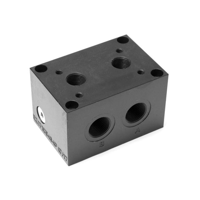 NG10 parallelblock 3/4″ Back ports