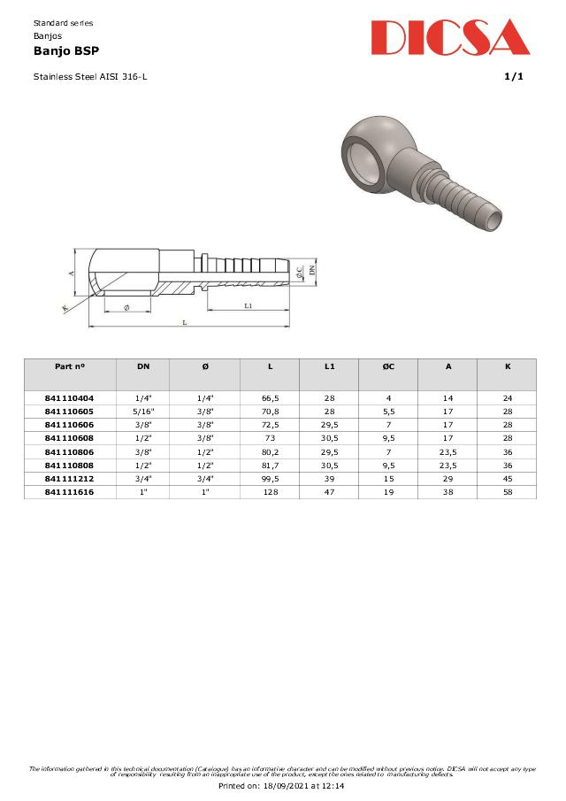 Banjo Indstik BSP - AISI 316L